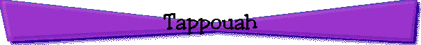 Tappouah