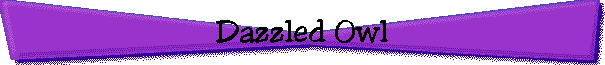 Dazzled Owl