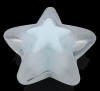 Frosted BIB Stars - Asstd Colors