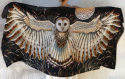 Shovana Barn Owl